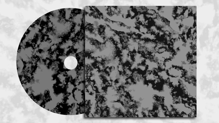 CARRIER CD (Split EP 2019)